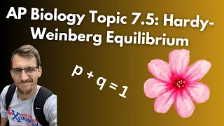 7.5 Hardy-Weinberg Equilibrium - AP Biology