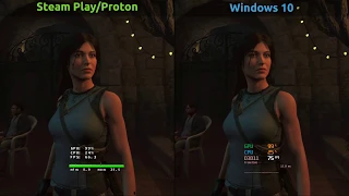 Benchmark Shadow of the Tomb Raider - Steam Play/Proton vs Windows 10