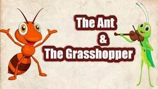Bedtime Stories | The Ant & The Grasshopper | English Cartoon For Kids | Writeup Stories