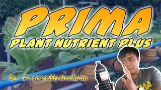 Prima Solutions  / Nutrients Solution for Hydroponics