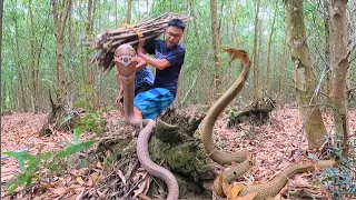 rescue 2 men being attacked by mad king cobras while collecting firewood in the forest. 2