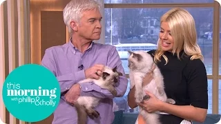 Holly Brings in Her Adorable Kittens for Some Cat Training | This Morning