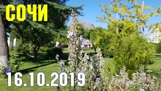 СОЧИ 16 октября 2019 года | Субтропический рай в отдельно взятом городе