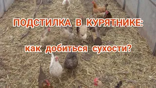 Подстилка в курятнике. Как добиться сухости?