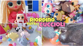 ➡️ RIORDINO TUTTI I MIEI CUCCIOLI LOL E NON SOLO ✌