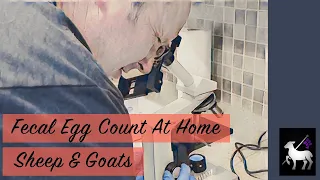 How To Conduct a Fecal Egg Count At Home: Sheep and Goats