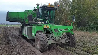 Extreme Potato Harvest with AVR ARB 230 in Heavy Conditions! Machine is FOR SALE!