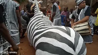Wonderful creature in Obosi