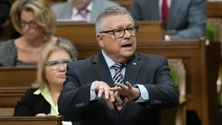 Question Period: Taxes and affordability, homeless veteran support — June 6, 2019