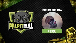 PALPITE DO DIA 05/06/2021 JOGO DO BICHO – Palpitbull Sua Sorte Começa Aqui