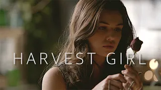 Davina Claire | Harvest Girl