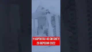 Циклон : Cніг у горах Карпат 40см до -5°С Піп Іван