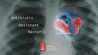 Antibiotic Resistant Bacteria