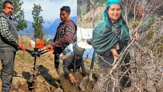 || New Apple Plantation In Kinnaur HP ||