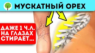 Зачем есть мускатный орех? Лечебный свойства ореха впечатляют