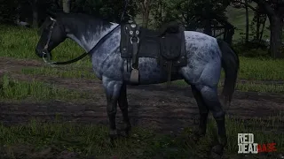 The Bravest Horse In RDR2 VS Cougar l Red Dead Redemption 2