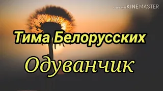 Тима Белорусских - Одуванчик (текст песни, lyrics)