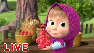 ماشا والدب 🌞LIVE STREAM!👱‍♀️ أشياء صغيرة حلوة 🍬🍭 Masha and the Bear