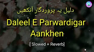 Daleel E Parwardigar Aankhen | relaxing naat 2023 | slowed and reverb naat | deep sleep naat | nazam