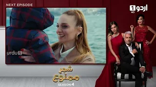 Shajar-e-Mamnu | Episode 351 Teaser | Turkish Drama | Forbidden Fruit | Urdu Dubbing | 13 April 2022