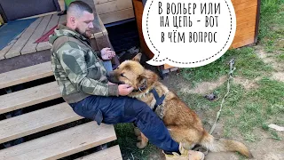 Собака Пёс Кубик будет жить на "цепи" или в вольере?