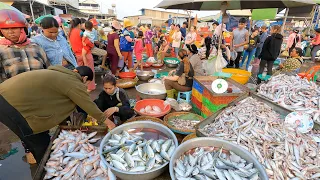 Cambodian Wholesale Fish Market - Fish Market Scenes & Khmer People's Daily Activities