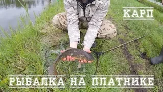 Рыбалка на платнике в рыбхозе Белое. Суперклев!