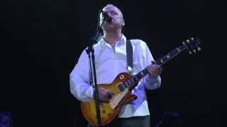 Mark Knopfler – Live in Rotterdam 2008 [HD]