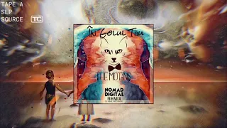 The Motans - În Golul Tău | NoMad Digital Remix