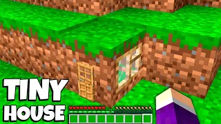 What's INSIDE the TINY HOUSE in the GRASS BLOCK in Minecraft  SECRETS OF THE SMALLEST HOUSE
