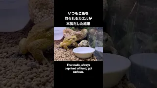 取られた方はやっぱり見る(笑)