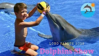 Amazing Dolphins Show at Loro Parque | King David and Princess Sarah pretend play with dolphins