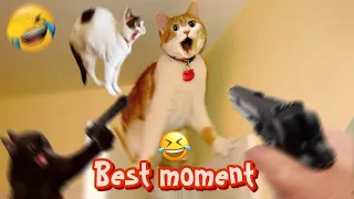 Laugh Out Loud with the Ultimate Cat and Dog Comedy😹🐶 moment! 🐾😂(part462)