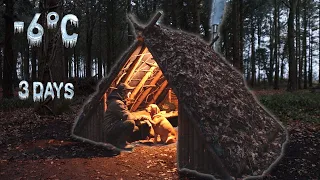 3 Days FREEZING COLD Bushcraft Woodland Camping With My Dog | Survival Shelter | Fire | Deer Hide