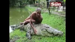 Un homme nage avec son crocodile