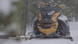 SLEDHEAD 24-7 | 2019 SLED OF THE YEAR