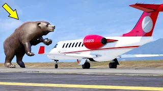 Bear Is Chasing The Pilots Of The Crashed Plane In GTA 5 (Plane Landing In The Forest)