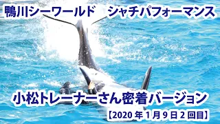 【2020年1月9日2回目】鴨川シーワールド　シャチパフォーマンス　小松トレーナーさん密着バージョン