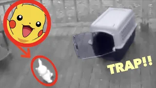 I CAPTURED PIKACHU IN REAL LIFE! *We Trapped Him!*