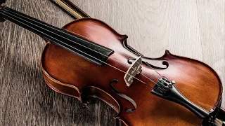 Загадка скрипки Страдивари(ролик)