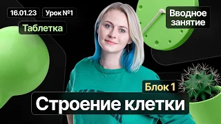 Вводный урок полугодового курса «Таблетка» | Строение клетки | Биология ЕГЭ