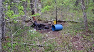 BOWHUNTING BLACK BEAR IN NEW BRUNSWICK CANADA AT BETTS KELLY LODGE SPRING 2018