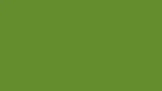 maximum green (Image color before encoding - R:102 G:141 B:46)