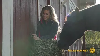 How To Use the Square Bale Hay Net