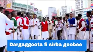 Dargaggoota fi sirba goobee