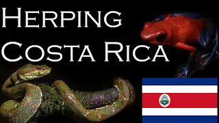 Serpientes Venenosas y Anfibios de Costa Rica - HERPING COSTA RICA (1/3)