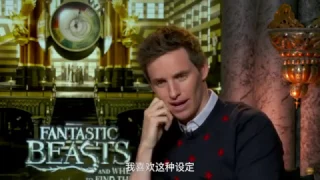 Mtime Conversation: Behind-the-Scenes with 'Fantastic Beasts and Where to Find Them'