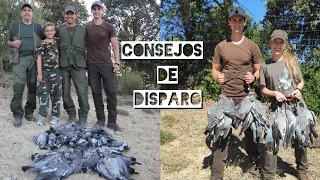 Caza de palomas en media veda. Consejos de disparo