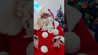 Videochamada com o Pai Natal