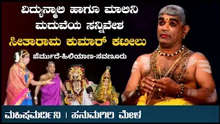 ವಿದ್ಯುನ್ಮಾಲಿ-ಮಾಲಿನಿ ಮದುವೆಯ ಸನ್ನಿವೇಶ | ಪುರೋಹಿತರಾಗಿ ಸೀತಾರಾಮ ಕುಮಾರ್ ಕಟೀಲು | ಹನುಮಗಿರಿ ಮೇಳ | Yakshagana